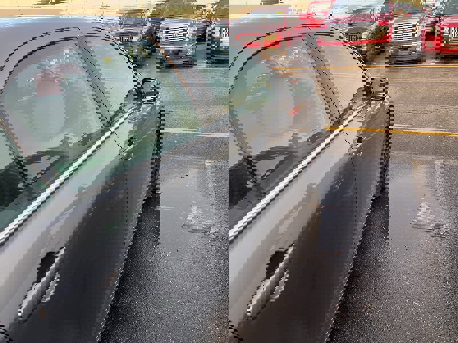 Used 2011 Ford Fusion SE w/ 201A Rapid Spec Order Code image 15