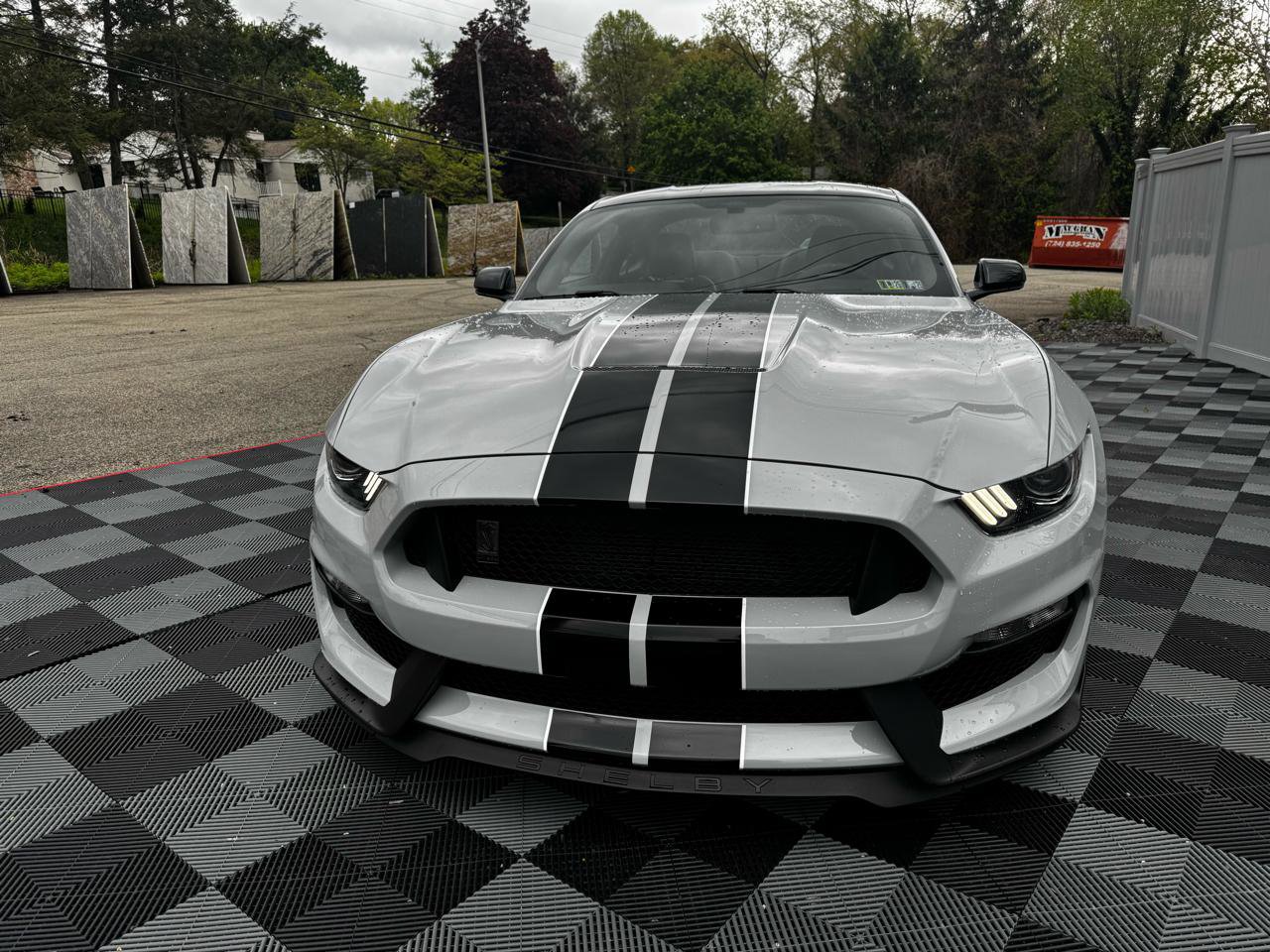 Used 2017 Ford Mustang Shelby GT350 RWD image 9