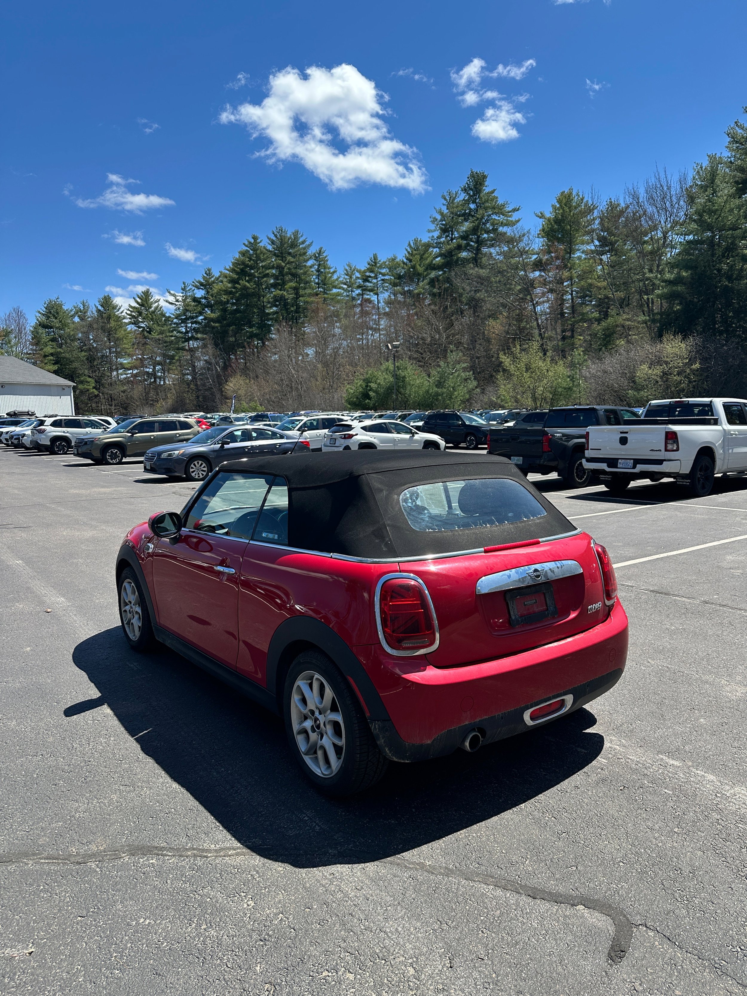 Used 2021 MINI Cooper Convertible w/ Premium Package FWD image 15
