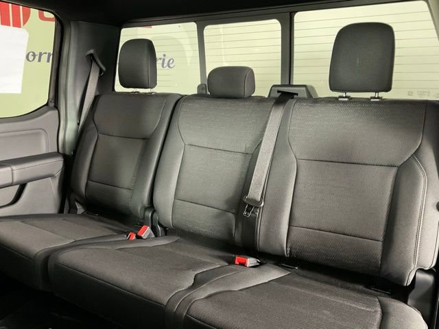 New 2026 Ford F150 XLT w/ Equipment Group 302A MID image 16