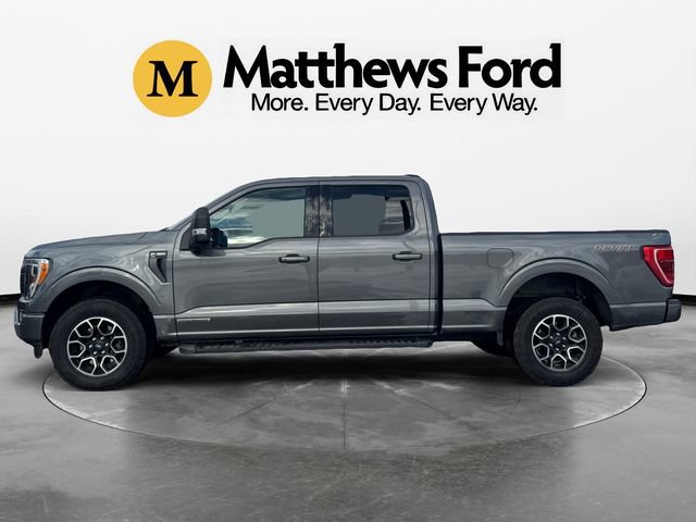 Used 2023 Ford F150 XLT w/ Equipment Group 302A High image 2