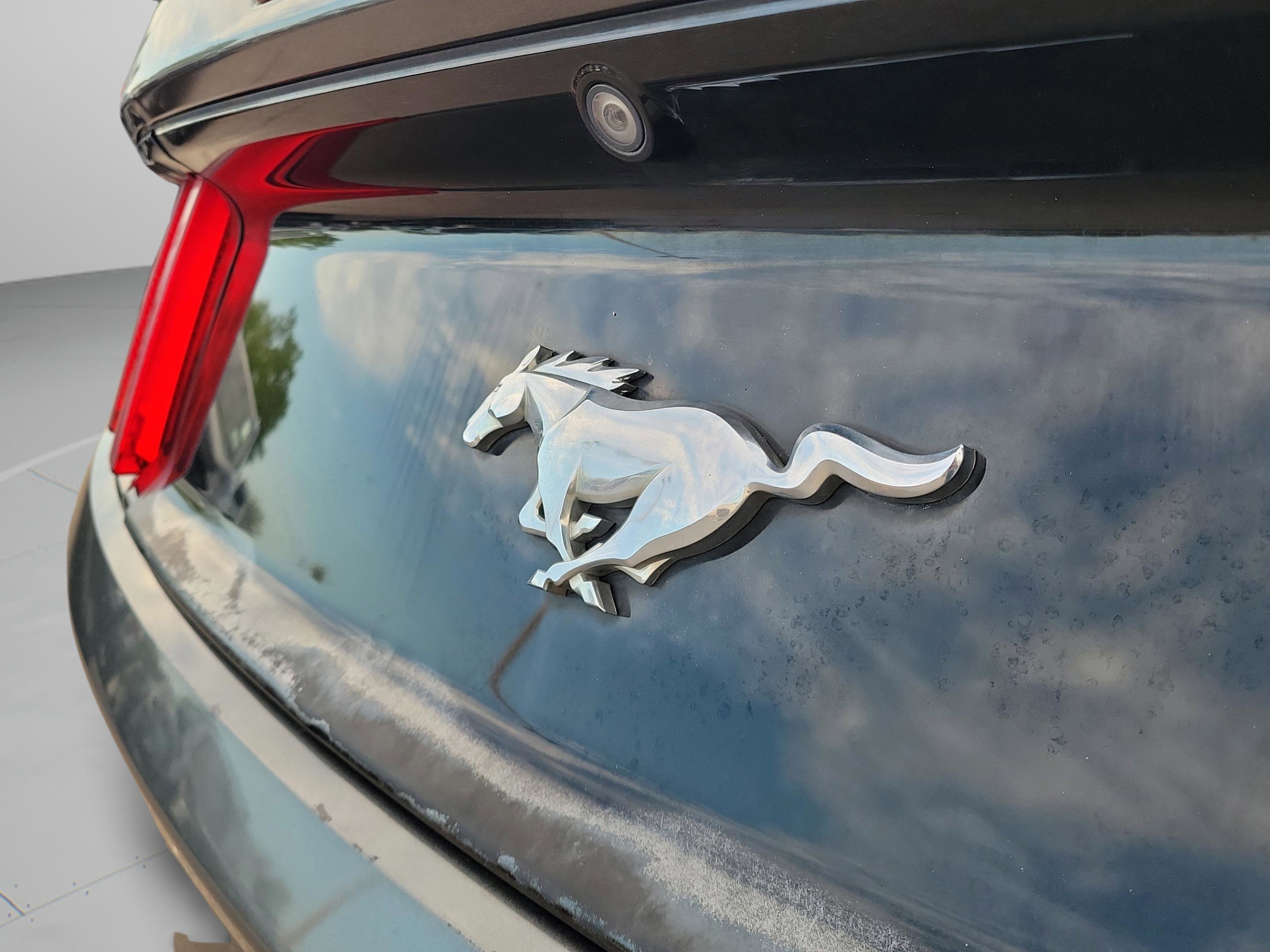 Used 2016 Ford Mustang Premium image 8