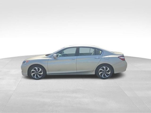 Used 2016 Honda Accord EX-L image 5