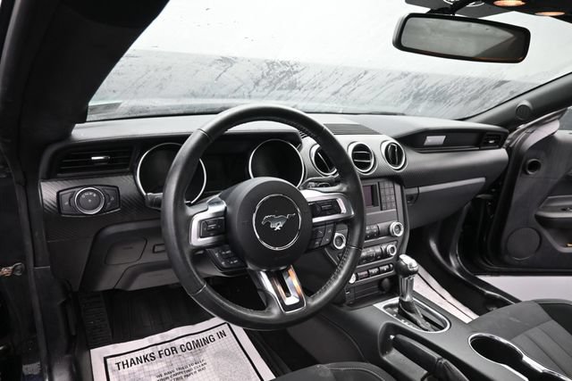 Used 2019 Ford Mustang Coupe RWD image 11