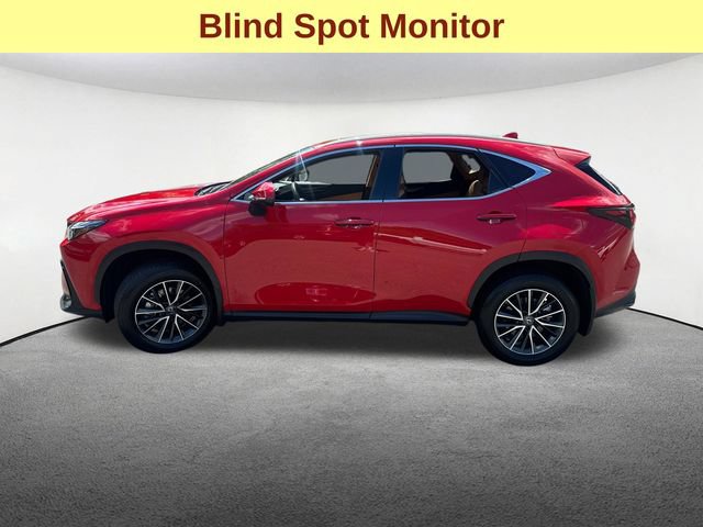 Used 2024 Lexus NX 350h AWD image 6