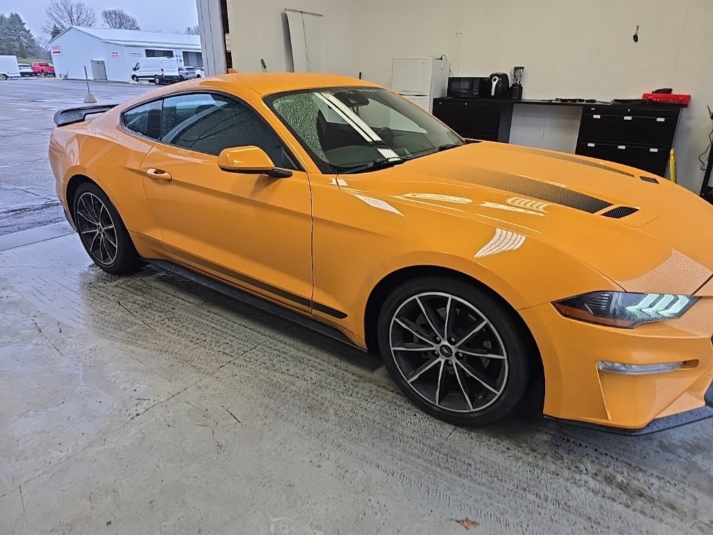 Used 2022 Ford Mustang Coupe w/ Equipment Group 101A image 1