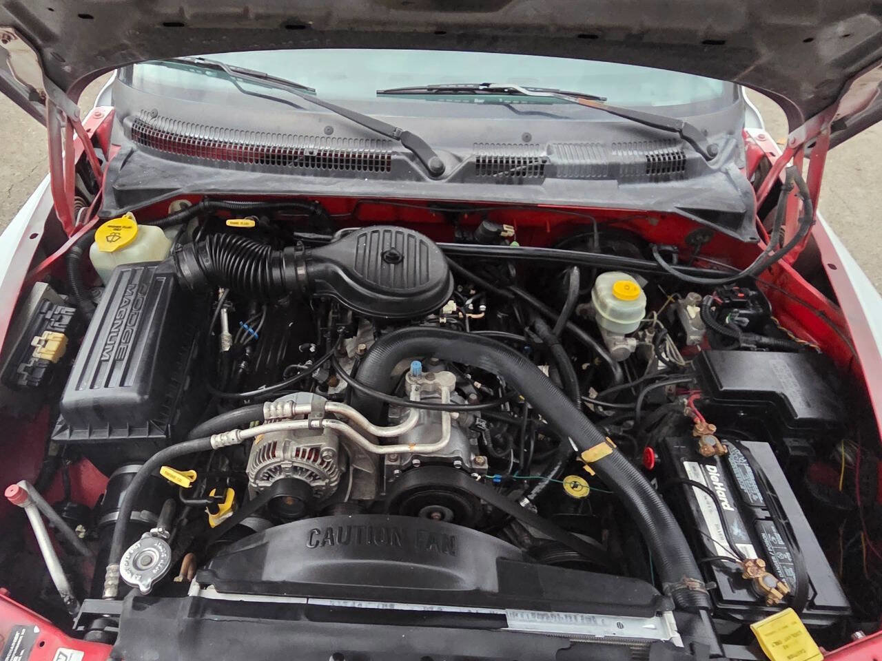 Used 1999 Dodge Dakota Sport image 13