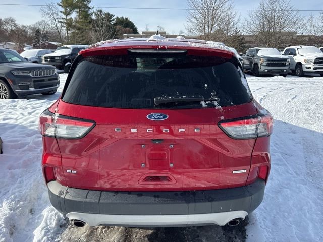 Used 2020 Ford Escape SE image 4