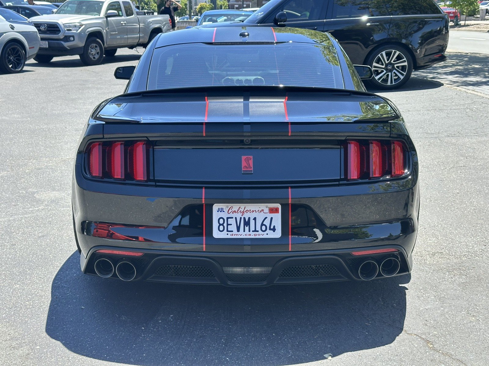 Used 2018 Ford Mustang Shelby GT350 RWD image 10