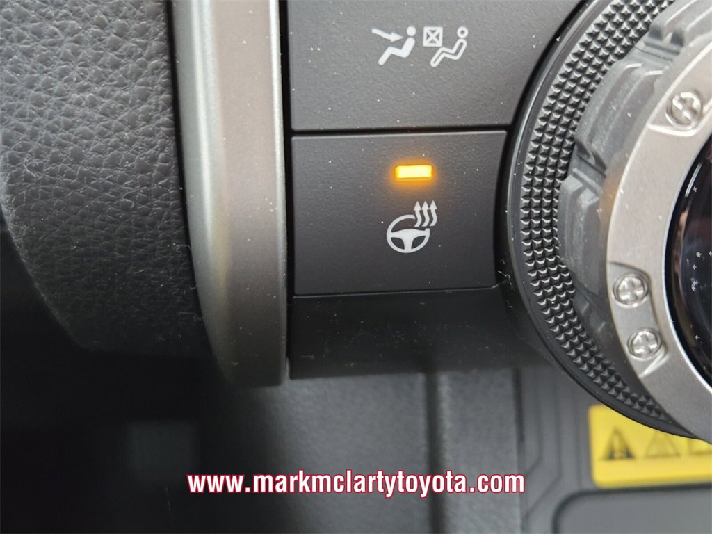 New 2026 Toyota 4Runner Platinum image 19