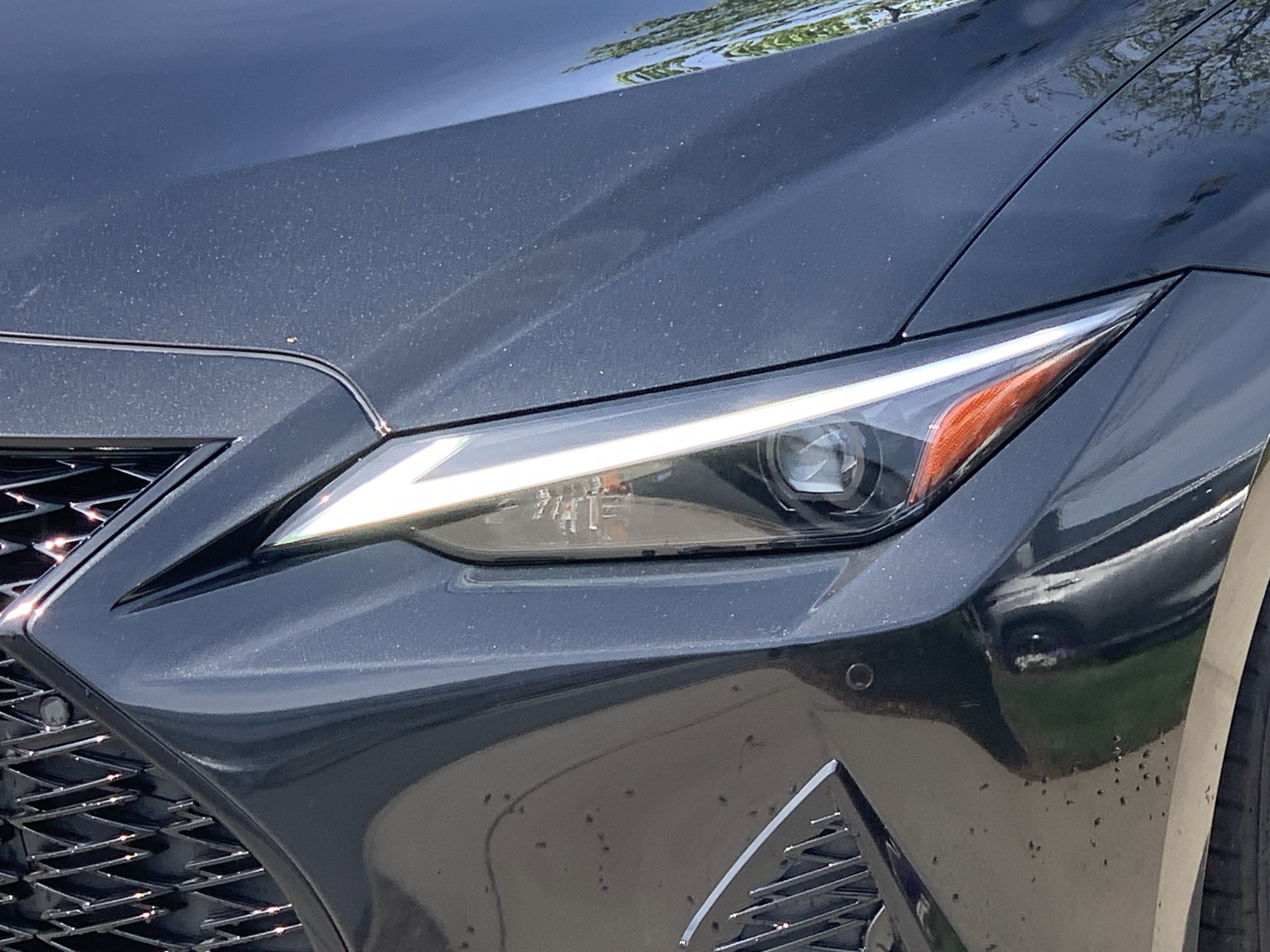 Used 2023 Lexus IS 350 F Sport w/ Memory Package image 6