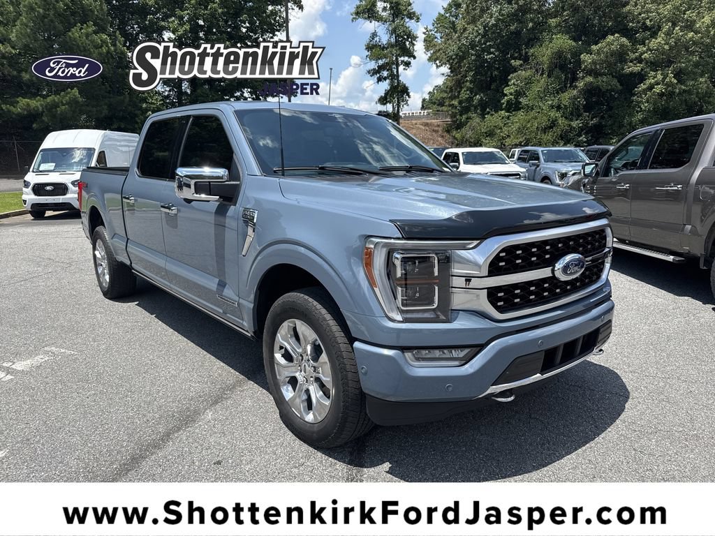 Used 2023 Ford F150 Platinum w/ Equipment Group 701A High