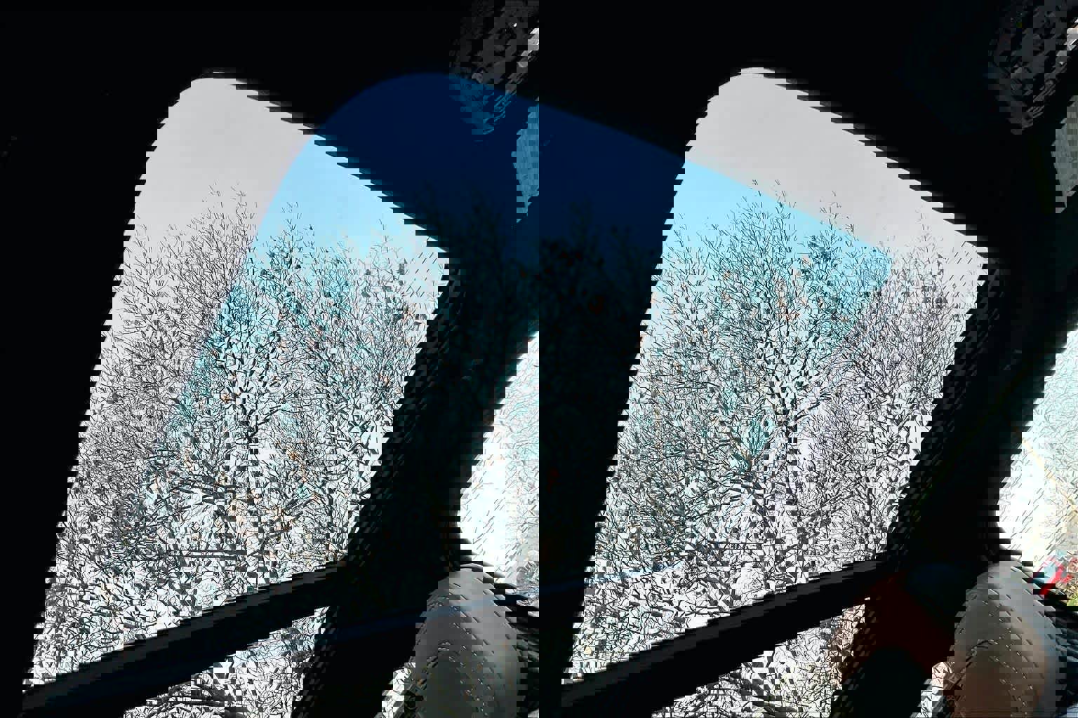 Used 2024 Toyota Tundra 1794 Edition AWD/4WD image 14