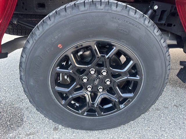 New 2025 Ford F150 XLT w/ Equipment Group 302A MID image 19