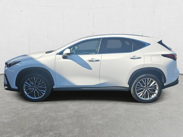 New 2026 Lexus NX 350 AWD w/ Accessory Package (2T) image 8