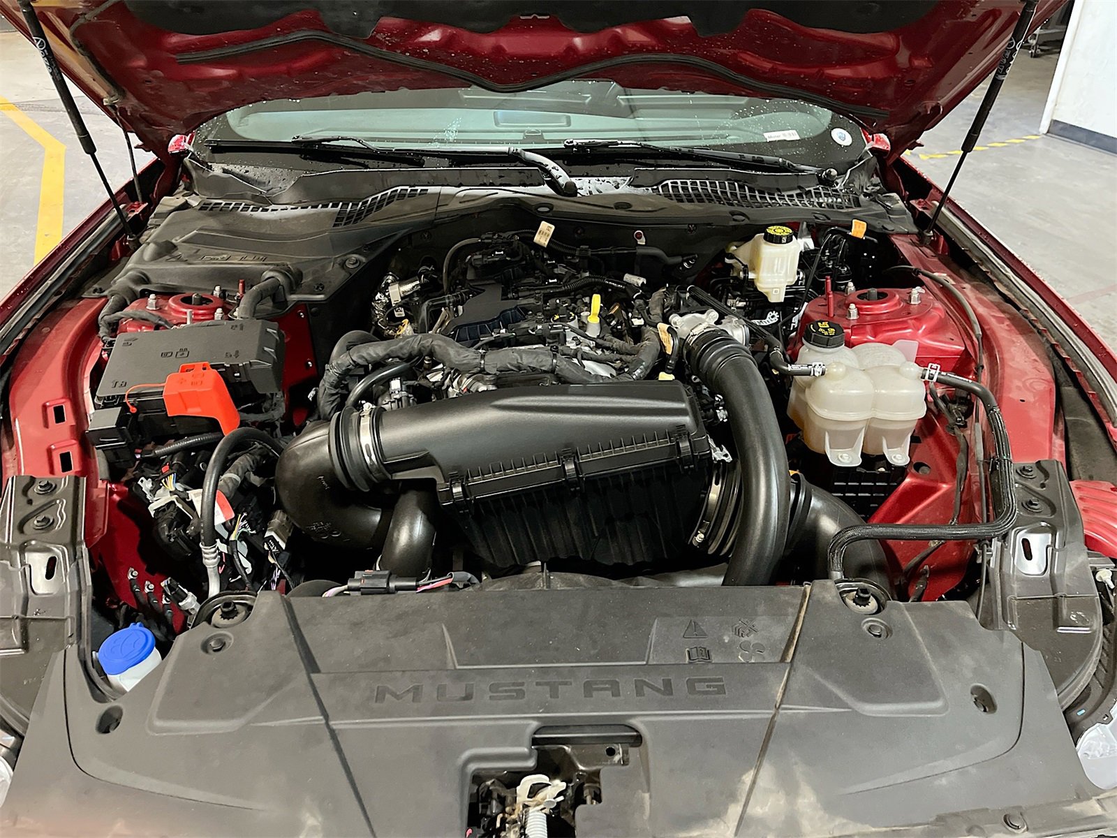 Used 2024 Ford Mustang Coupe image 29