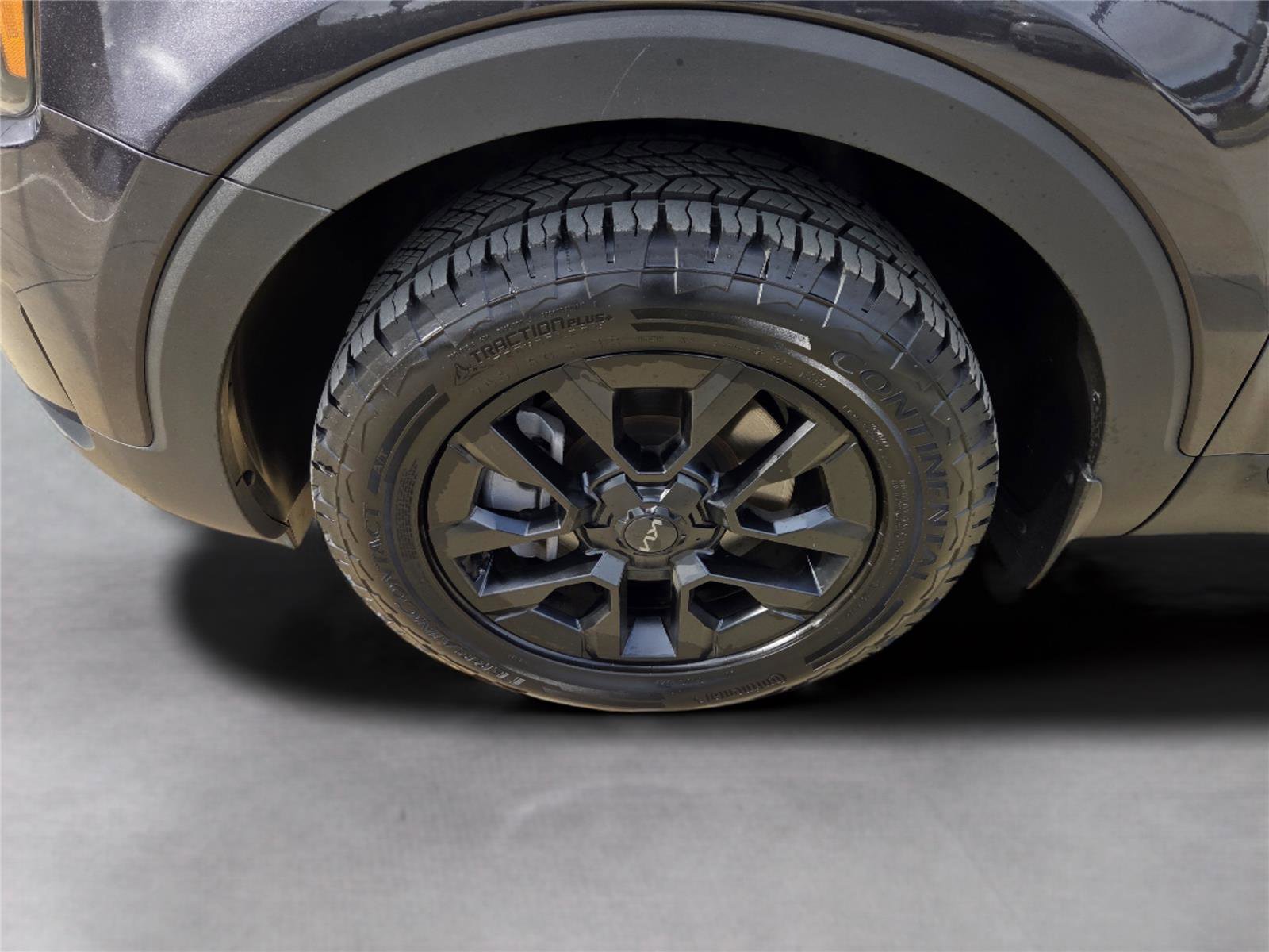 Used 2025 Kia Telluride SX Prestige X-Pro image 10