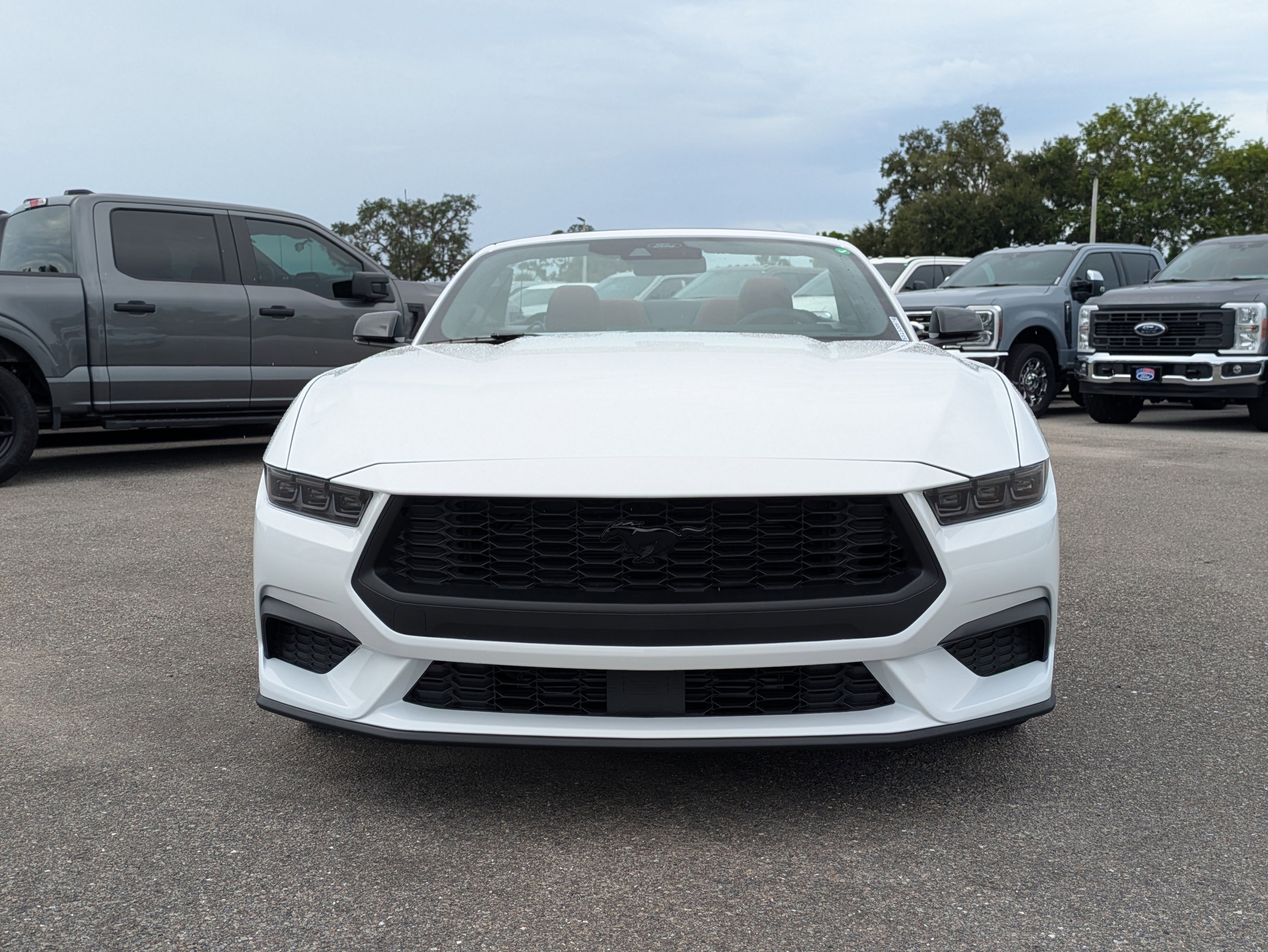 New 2025 Ford Mustang Premium image 9