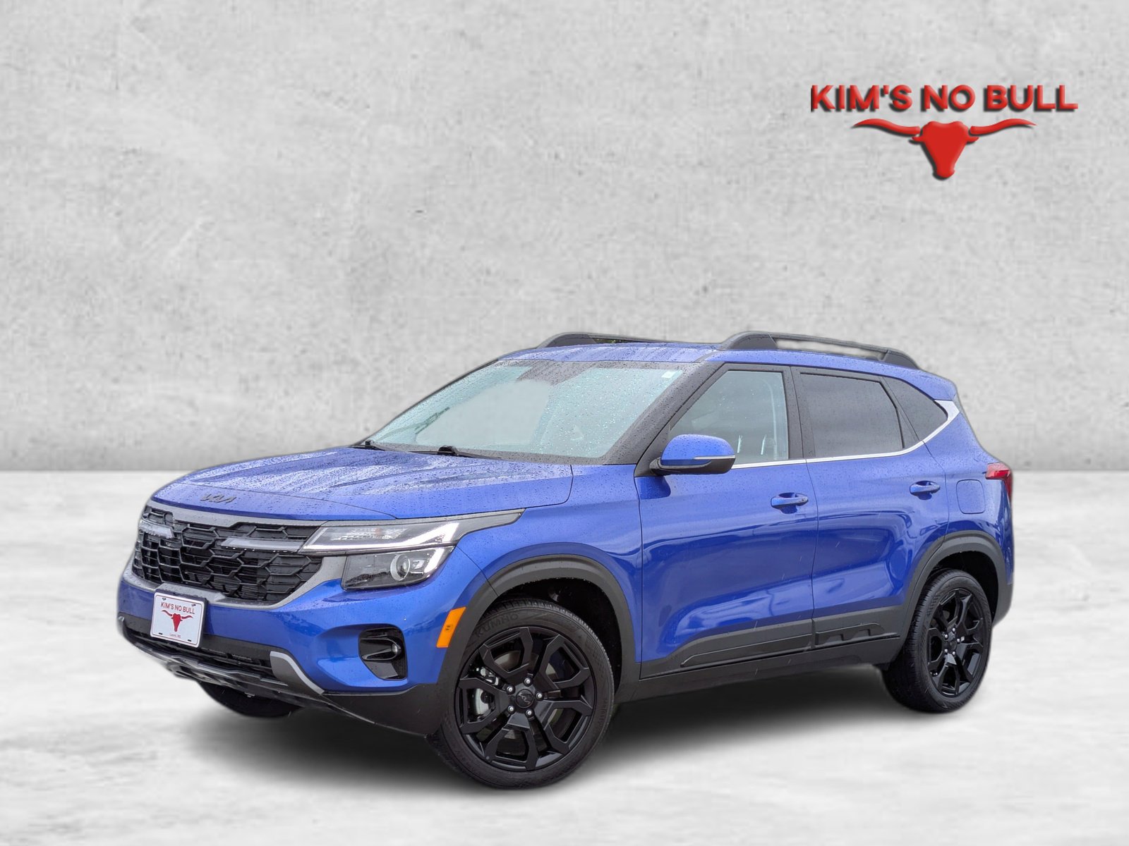 Used 2025 Kia Seltos X-Line