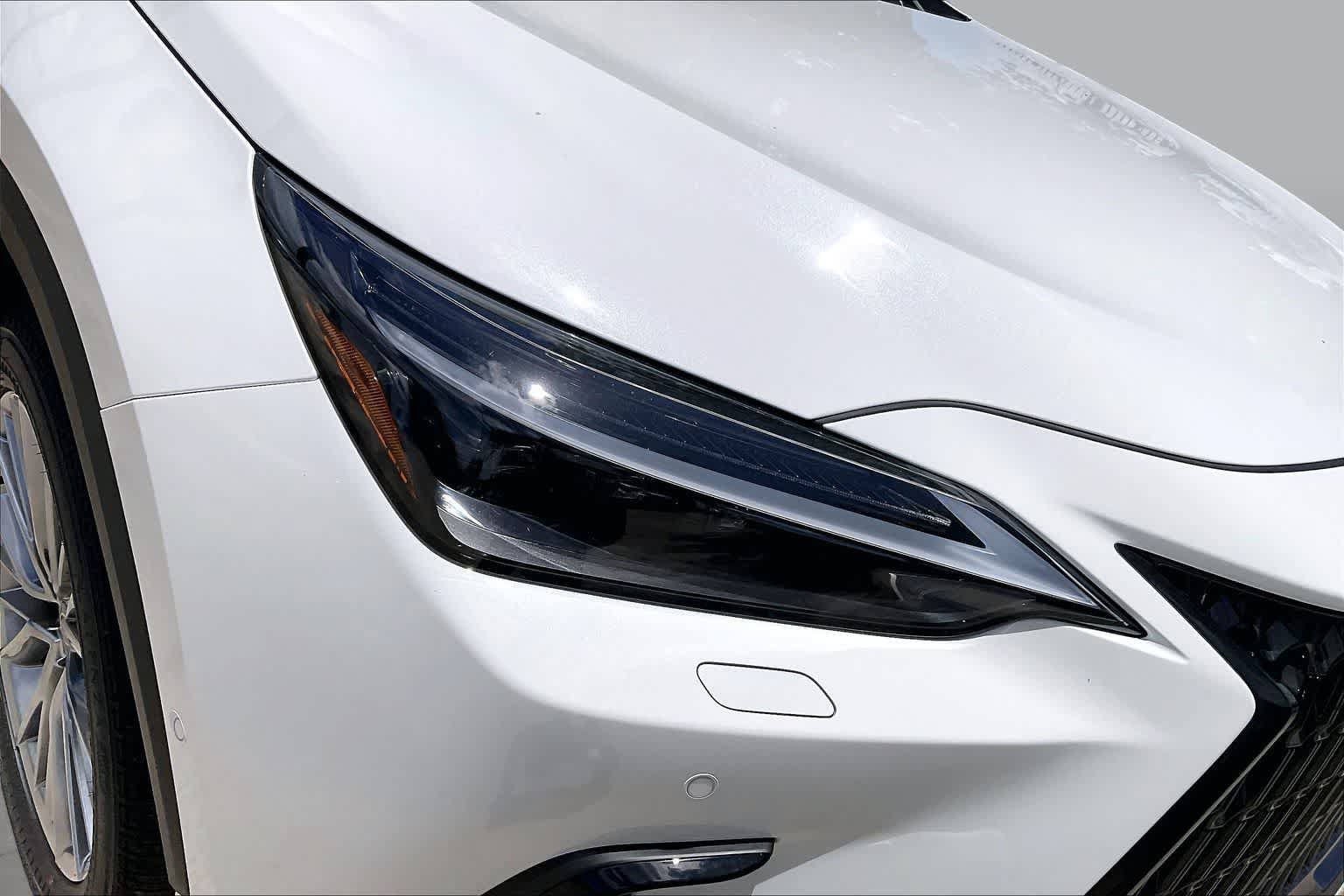 New 2026 Lexus NX 350 AWD w/ Accessory Package (2T) image 19