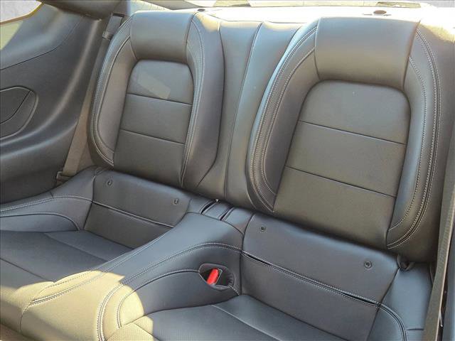 New 2026 Ford Mustang Premium w/ Mustang Nite Pony Package image 15