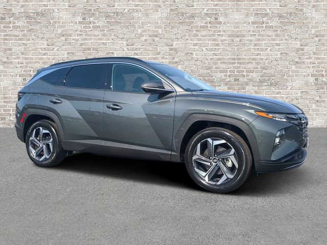 Used 2024 Hyundai Tucson Limited image 1