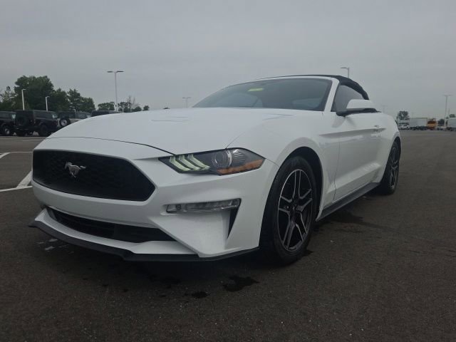 Used 2019 Ford Mustang Premium RWD image 3