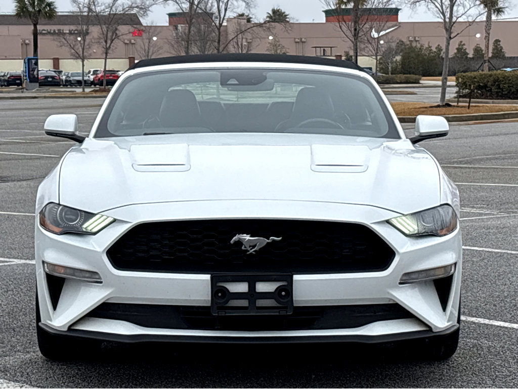 Used 2023 Ford Mustang Premium image 2