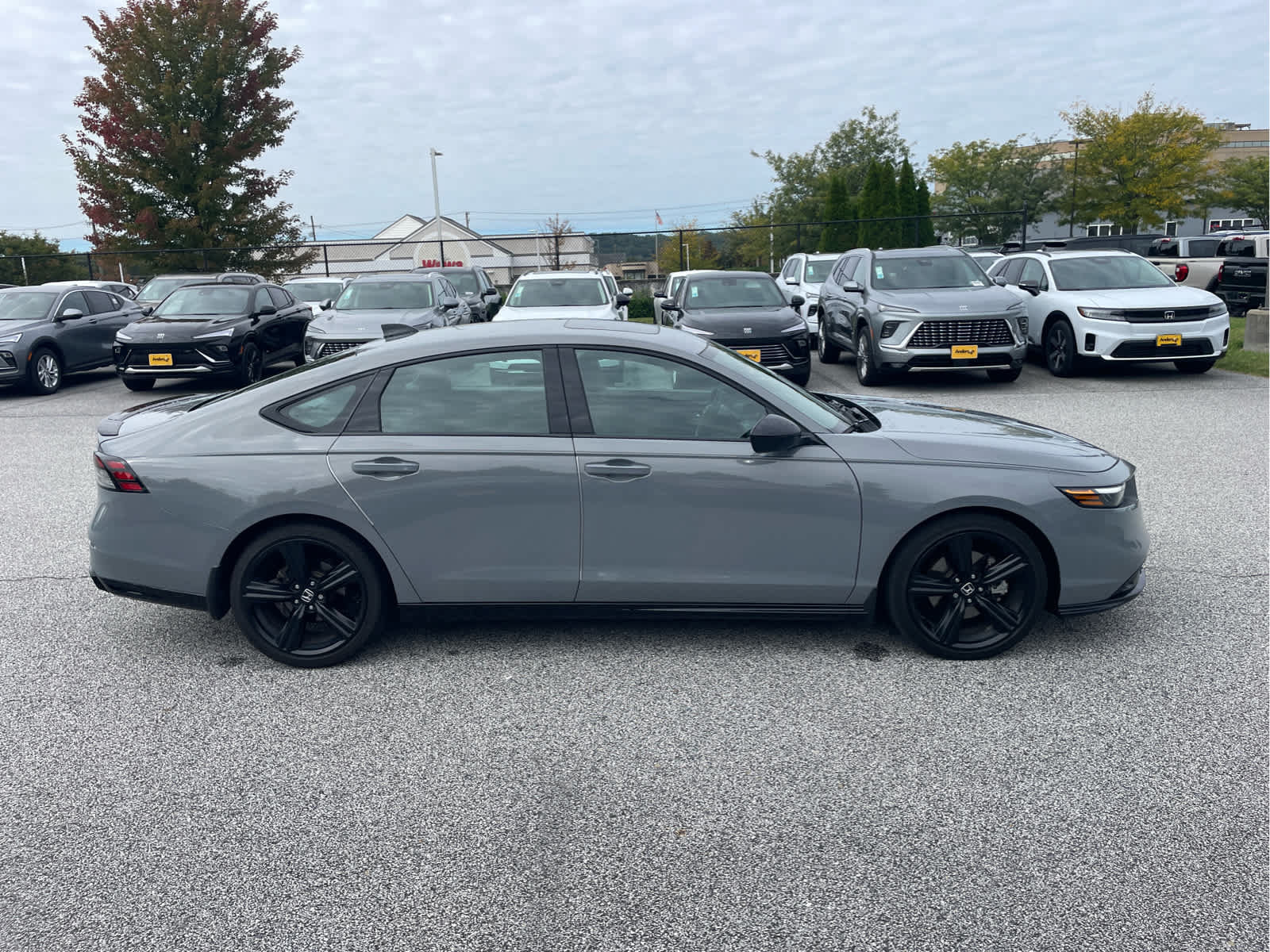 Used 2024 Honda Accord Sport image 5
