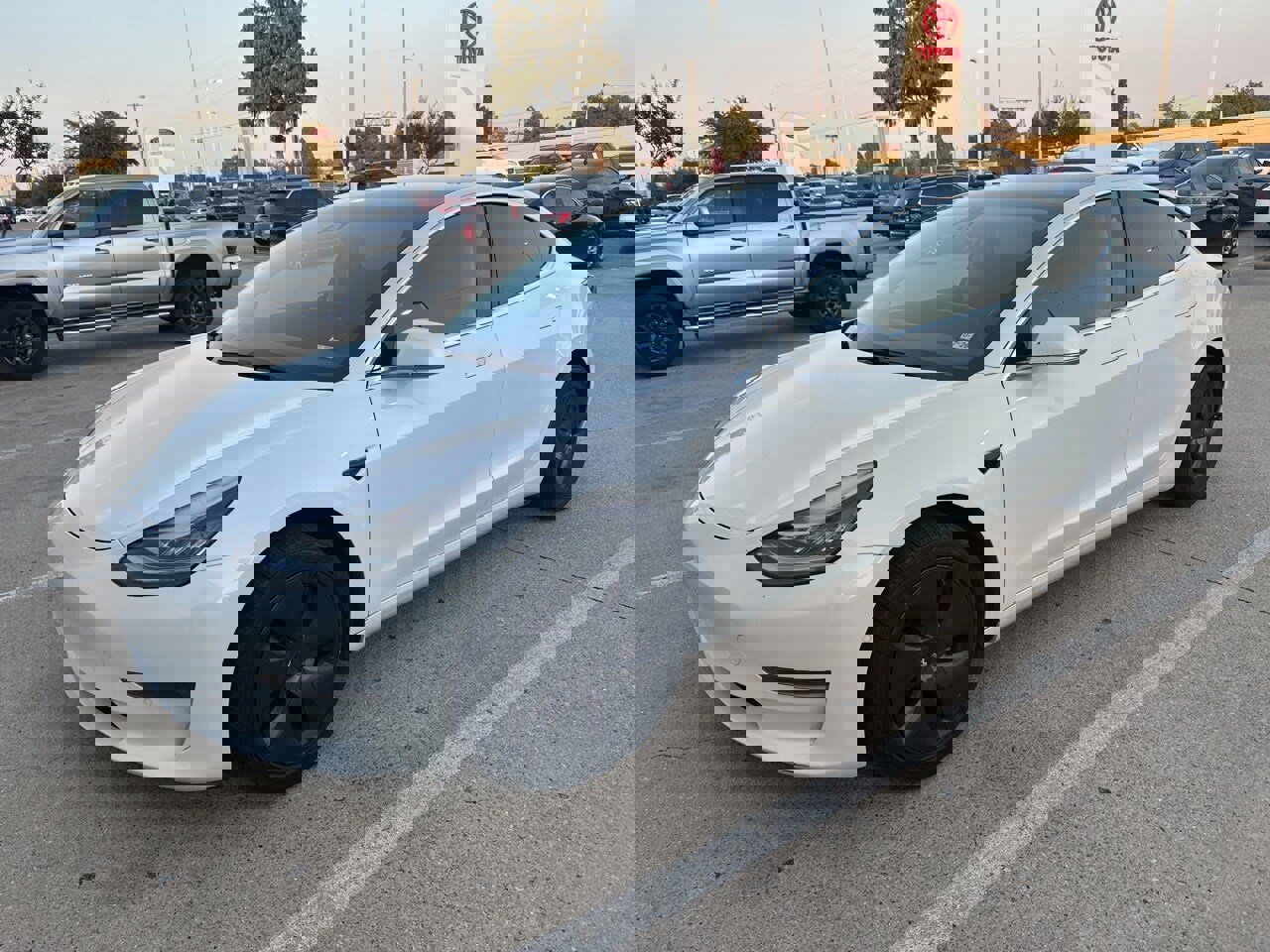 Used 2020 Tesla Model 3 Standard Range
