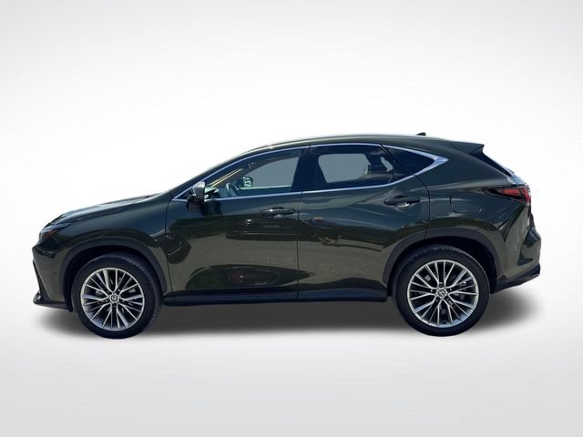 Used 2025 Lexus NX 350 AWD w/ Cold Area Package image 2