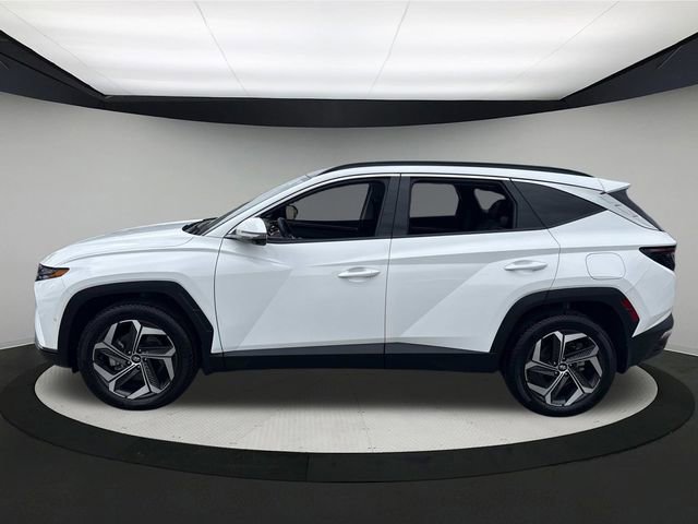 Certified 2023 Hyundai Tucson Limited image 11