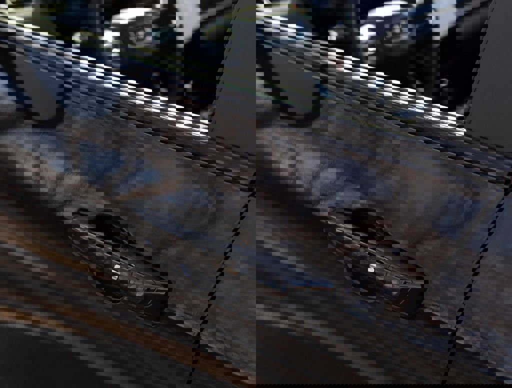 New 2026 GMC Terrain AT4 w/ Technology Package II image 39