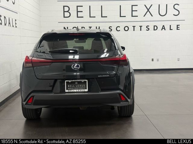 Used 2019 Lexus UX 250h w/ Premium Package image 5
