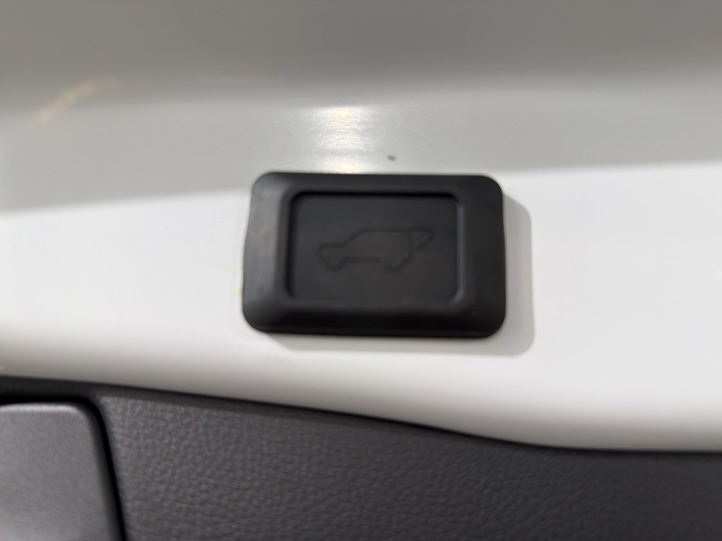 Used 2025 Toyota RAV4 XLE Premium image 11