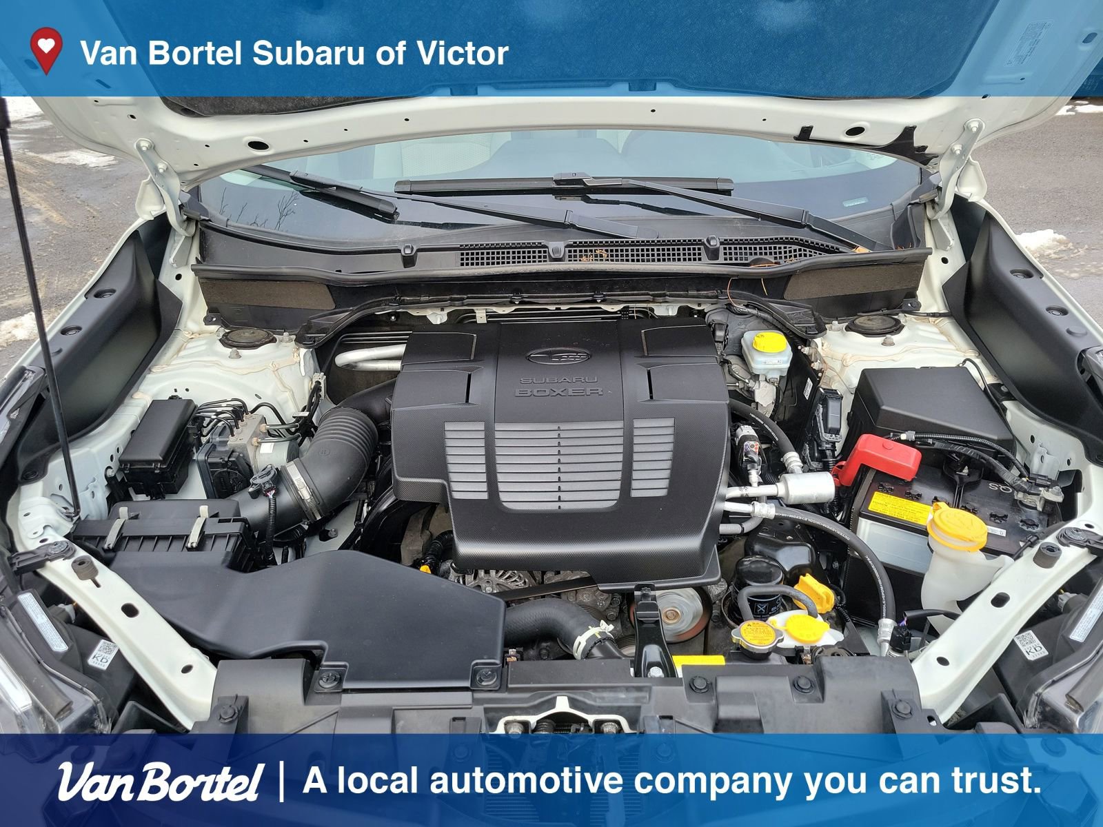 Used 2023 Subaru Forester Premium image 36