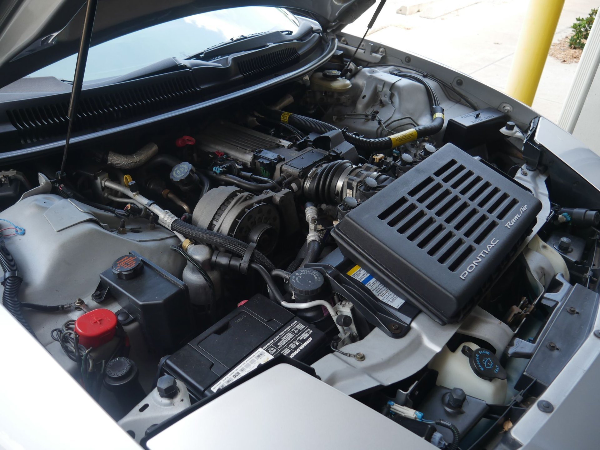 Used 1997 Pontiac Firebird Trans Am RWD image 78