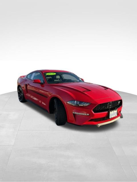 Used 2021 Ford Mustang GT Premium w/ California Special Package image 9