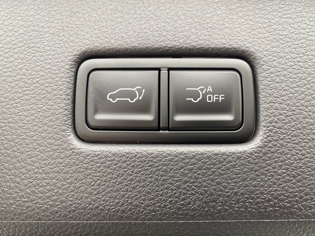 New 2026 Kia Carnival SX Prestige image 18