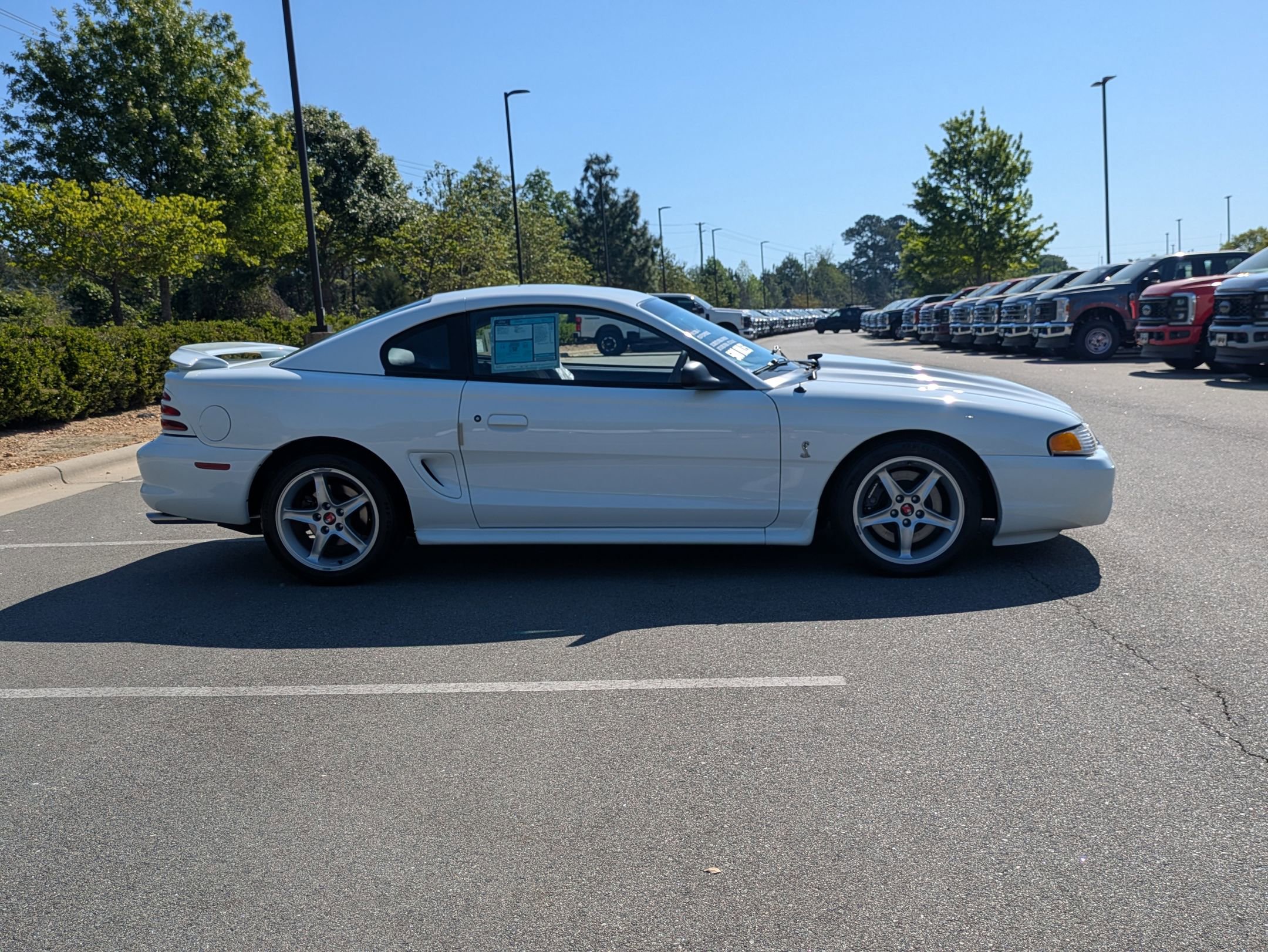 Used 1995 Ford Mustang Cobra R image 3