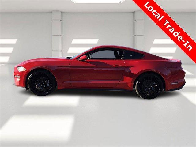 Used 2019 Ford Mustang Coupe w/ Equipment Group 101A image 2