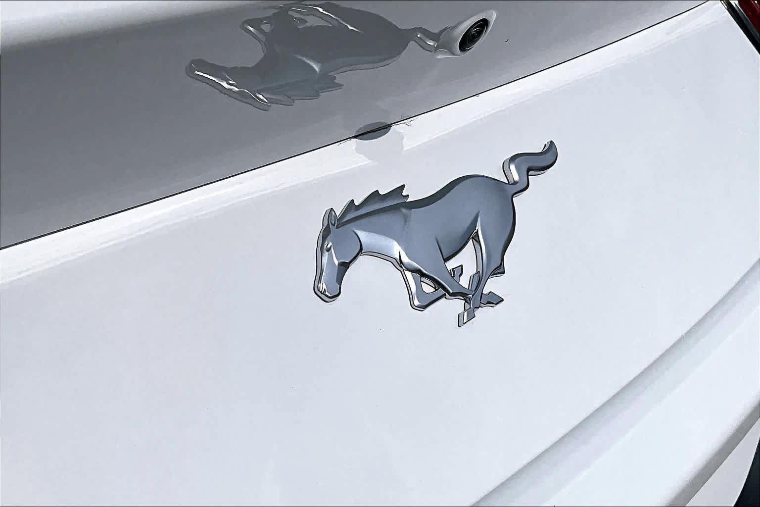 Used 2025 Ford Mustang Coupe RWD image 31
