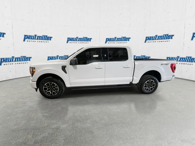 Used 2023 Ford F150 XLT w/ Equipment Group 301A Mid image 6