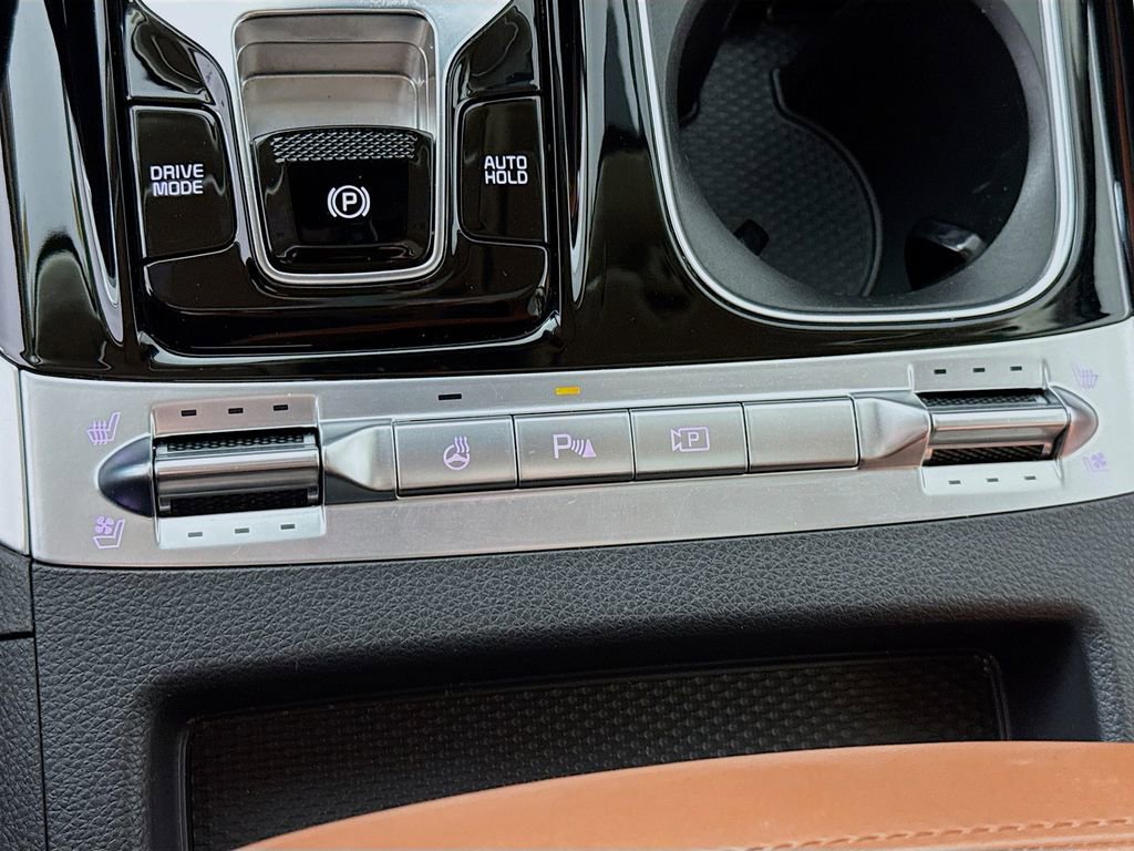 Used 2024 Kia Carnival SX Prestige image 14