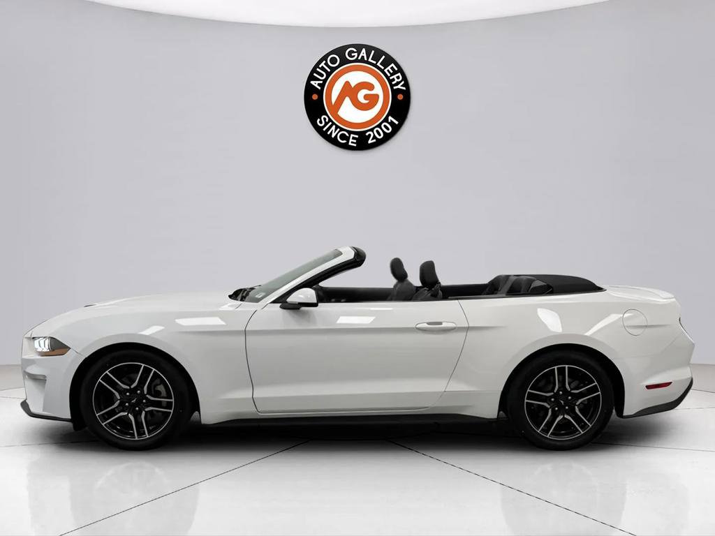 Used 2019 Ford Mustang Premium image 7