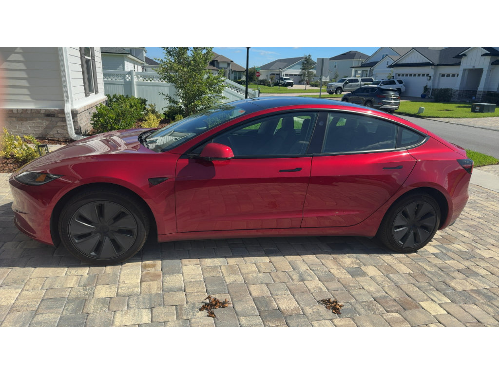 Used 2025 Tesla Model 3 Long Range RWD image 2