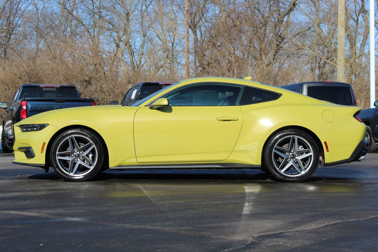 New 2025 Ford Mustang Coupe image 4