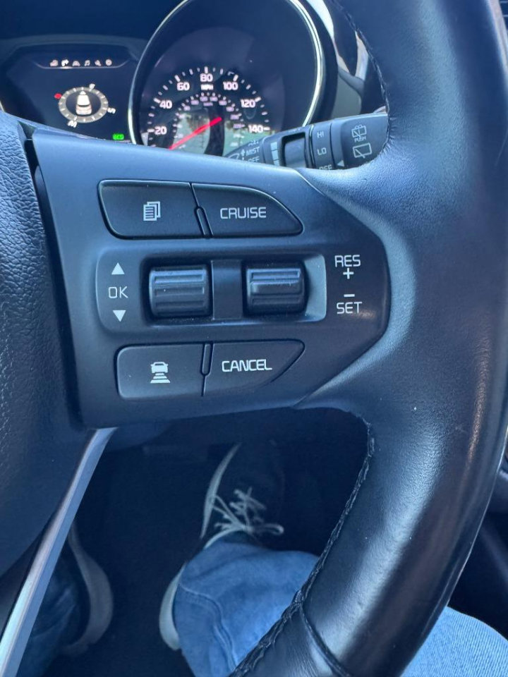 Used 2018 Kia Sedona SX Limited FWD image 7