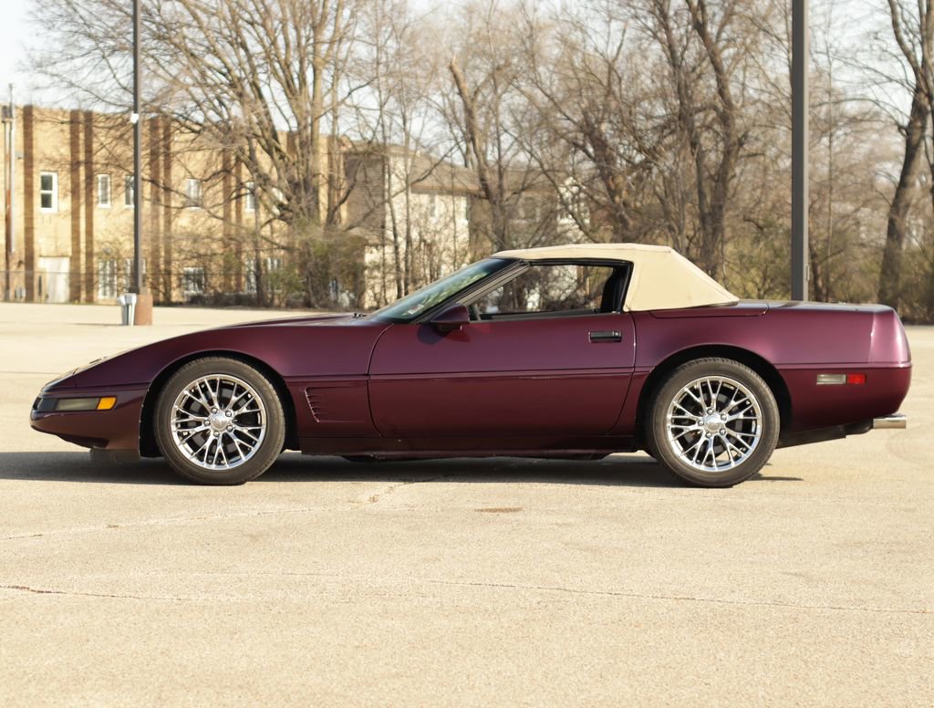 Used 1995 Chevrolet Corvette Convertible image 4