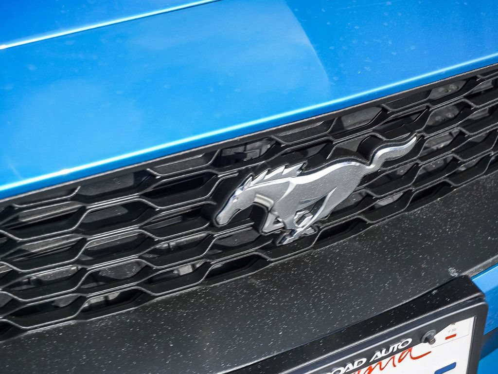 Used 2019 Ford Mustang Premium w/ Wheel & Stripe Package RWD image 12